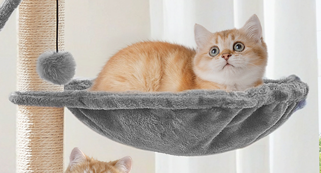 Wooden Cat Tree with Litter Box Enclosure, Tall Cat Tower with Scratching Posts, Hammock & Hidden Litter Box Furniture, All-in-One Indoor Cat Condo, Grey