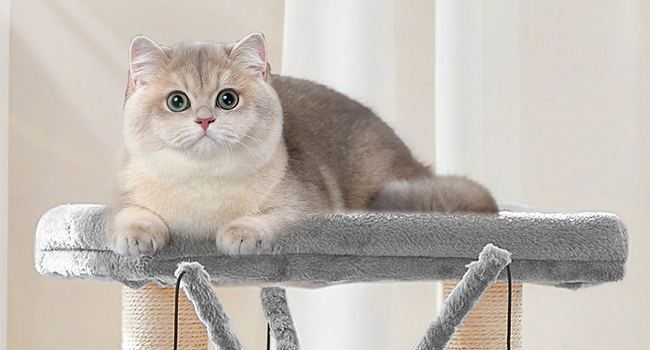 Wooden Cat Tree with Litter Box Enclosure, Tall Cat Tower with Scratching Posts, Hammock & Hidden Litter Box Furniture, All-in-One Indoor Cat Condo, Grey