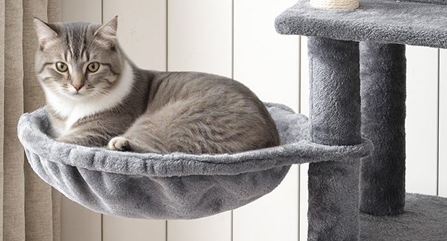 HOOBRO Double Litter Box Enclosure with Cat Tree, 45.3" L x 17.7" W x 68.9" H All-in-One Modern Cat Tower with Bed, Hidden Litter Box Enclosure Furniture, with Hammock, Sisal Posts, Greige