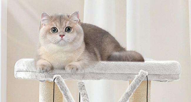 White Wooden Cat Tree with Litter Box Enclosure, 111.8cm Tall Cat Tower with Scratching Posts, Hammock & Hidden Litter Box Furniture, All-in-One Indoor Cat Condo