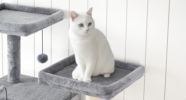 HOOBRO Double Litter Box Enclosure with Cat Tree, 45.3" L x 17.7" W x 68.9" H All-in-One Modern Cat Tower with Bed, Hidden Litter Box Enclosure Furniture, with Hammock, Sisal Posts, Greige