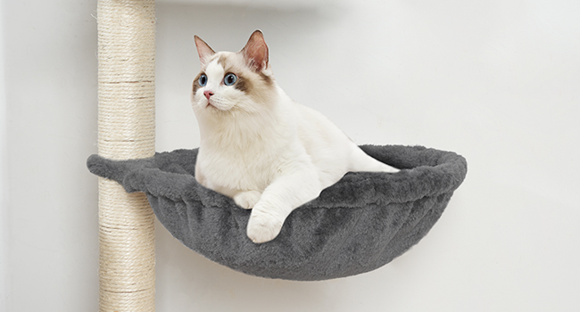 Cat Tree with Litter Box Enclosure, 172.0cm H Wooden Multifunctional Pet Furniture with Hidden Litter Box, Perch, Hammock and Scratching Post, Cat Tower for Indoor Cats, Grey