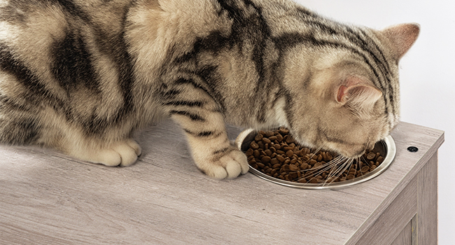 Wooden Cat Tree with Litter Box Enclosure, Tall Cat Tower with Scratching Posts, Hammock & Hidden Litter Box Furniture, All-in-One Indoor Cat Condo, Grey