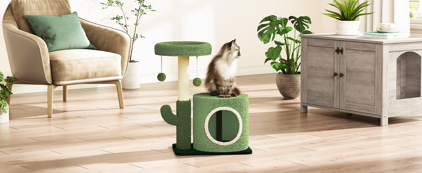 kaktusz macskafa, Kis macskatorony beltéri macskákhoz, Aranyos macskafa a cica alatt 8 lb, Zöld macska lakás macska karcoló oszlopával, macskaház lógó haranggolyókkal, tavaszi zöld