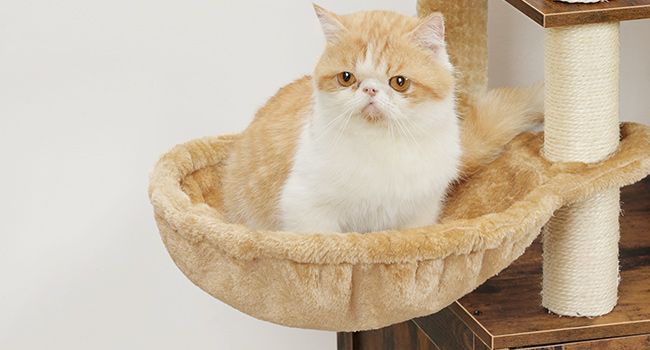 شجرة القطط مع صندوق القمامة, 2 المنصات والمنصات القط, برج القط للقط الداخلية, أثاث صندوق القمامة المخفي, 2-شقة Cat IN-1 مع الأراجيح, خدش المشاركات, بني ريفي