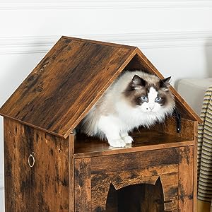 maison de chat cachée