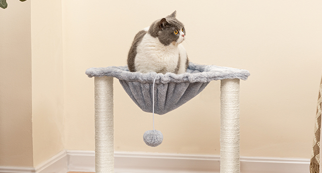 torre dell'albero del gatto