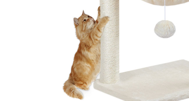 mačacia stromová veža