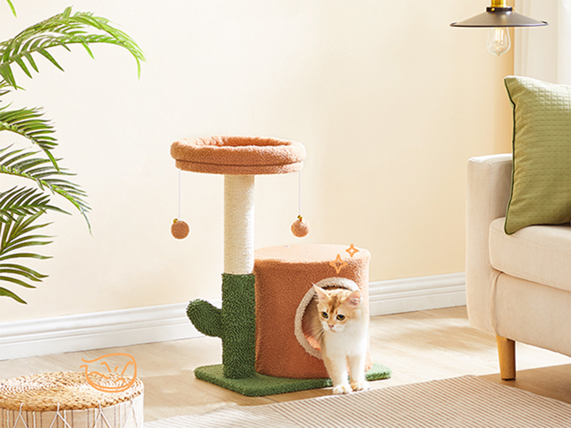 kattetræ til indendørs katte, Cactus Cat Tower til killinger under 8 lb, Lille katte træhus med katte skraber stolpe, Plush Cat Condo med visning af aborre, dinglende klokkekugler, Jorden brun