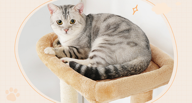 Kattetræ med kattebakke, 59.1 Høje 2-i-1 alsidige kattårnet med skjult kuldkasse møbler, Cat condo, Dinglende bolde, Skrabe indlæg, Skrabebræt, Rustik brun