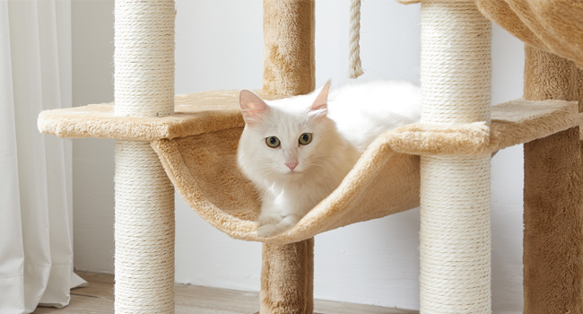 Kattetre, 58.3 Tommer kattetårn for innendørs katter, Tre katt hus med 2 Katt hengekøyer, Moderne katteleilighet med katteskrapende innlegg, Cat Teaser Sticks, Myke abbor, Rustikk brun