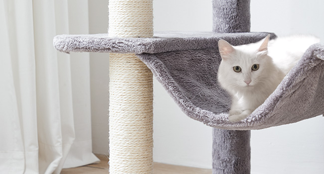 Kočičí strom, 58.3 Palcová kočičí věž pro domácí kočky, Dřevěný domeček pro kočky s 2 Kočičí houpací sítě, Moderní kočičí byt s kočičími škrabadly, Cat Teaser Sticks, Měkká bidélka, řecký