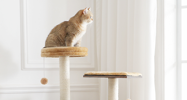 crann cat do chait faoi dhíon, 44 orlach orlach cat túr adhmaid, condo cat nua -aimseartha le poist scríobadh cat, Teach súgartha cat il-leibhéil le cat hammock, 2 barr péirse, Liathróidí Bréagáin, donn tuaithe