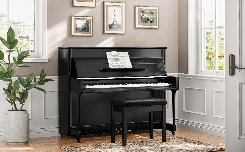 Binse pianó le stuáilte agus urrann stórála padded don bhileog ceoil, binse ceoil, stól pianó, Cathaoir Vanity, coinníonn suas go 300 lb, 21.9 x 13.6 x 19.3 orlach, dubh salach