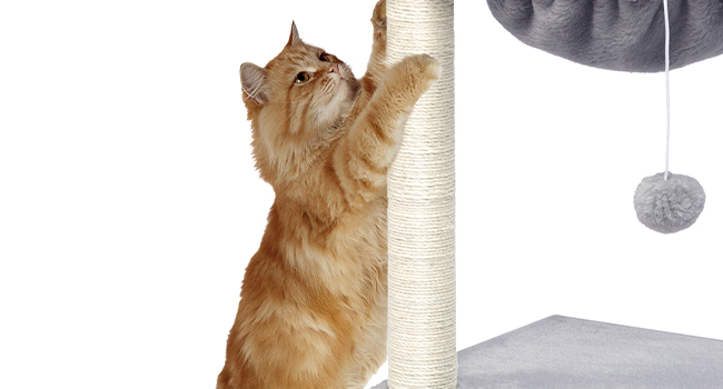 torre dell'albero del gatto