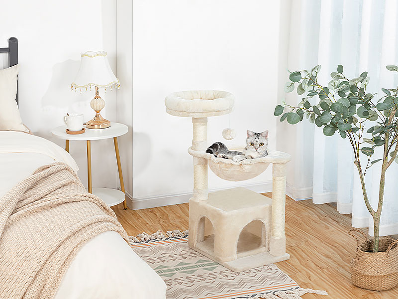 شجرة القط الصغيرة