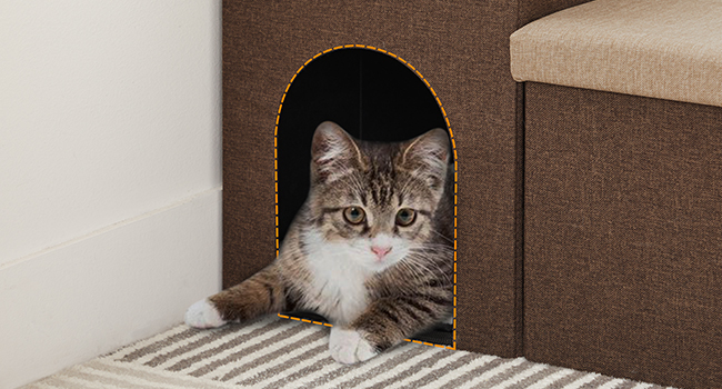 escaliers pour animaux de compagnie