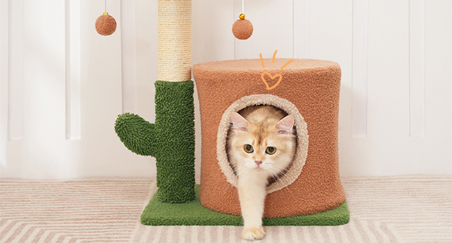 kattetræ til indendørs katte, Cactus Cat Tower til killinger under 8 lb, Lille katte træhus med katte skraber stolpe, Plush Cat Condo med visning af aborre, dinglende klokkekugler, Jorden brun