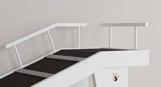 BW18PT03G1 Hunderampe