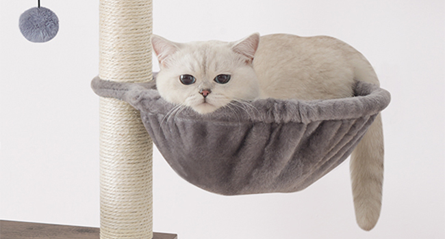 Drzewo kotów dla kotów wewnętrznych, nowoczesna wieża kotów dla kociąt pod 10 funty, Drzewo kotów z hamakiem, drewniane mieszkanie kotów z słupkami drapiącymi kotami, Wyjmowane poduszki do prania, Grair