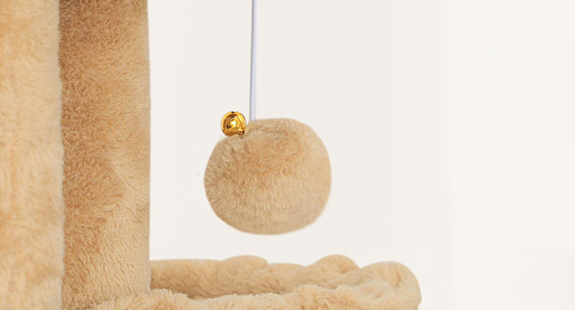 9b9297b5-75c2-4711-8a97-a9dc1f3a6bab.__cr0,0,650,350_pt0_sx650_v1___