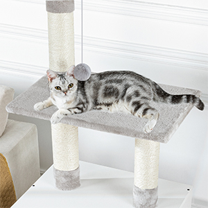 toilettes pour chats