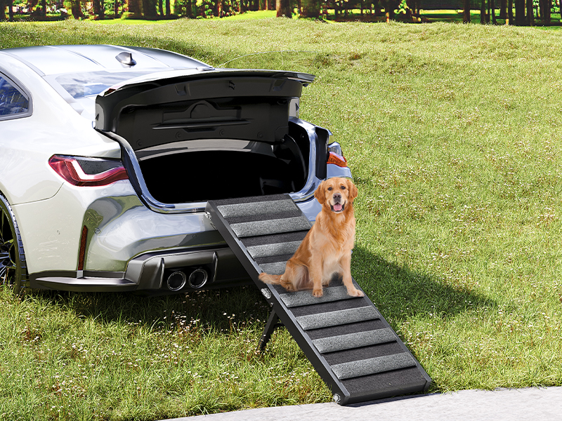 dog ramp