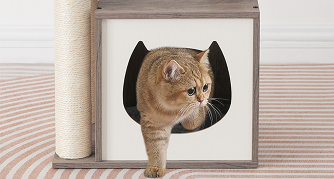 Drzewo kotów dla kotów wewnętrznych, nowoczesna wieża kotów dla kociąt pod 10 funty, Drzewo kotów z hamakiem, drewniane mieszkanie kotów z słupkami drapiącymi kotami, Wyjmowane poduszki do prania, Grair