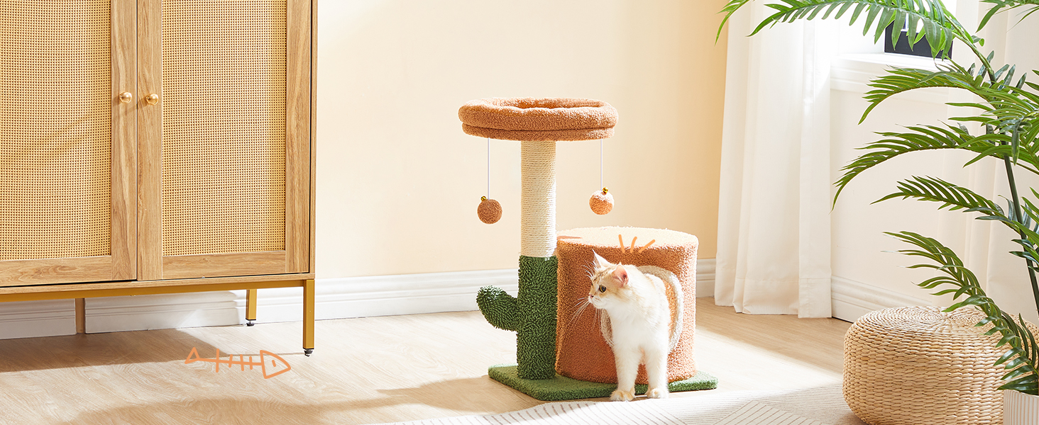 kattetræ til indendørs katte, Cactus Cat Tower til killinger under 8 lb, Lille katte træhus med katte skraber stolpe, Plush Cat Condo med visning af aborre, dinglende klokkekugler, Jorden brun