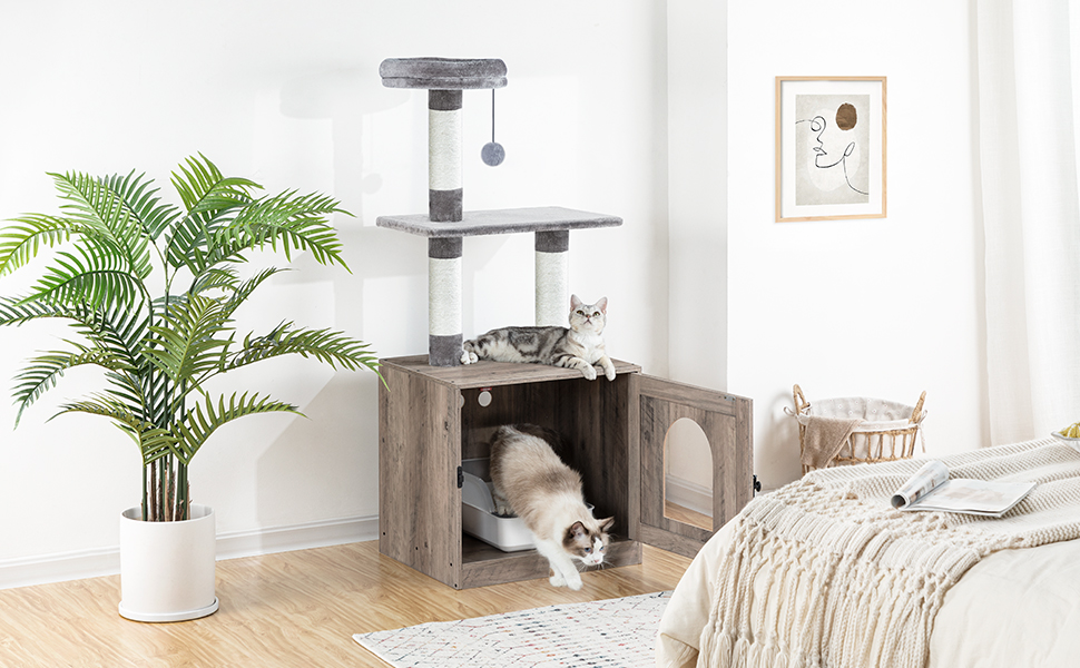 حاوية صندوق القمامة مع برج شجرة القطط