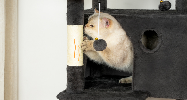 Kočičí strom pro vnitřní kočky, Velká kočičí věž, Víceúrovňový kočičí strom s velkou houpací síť, Kočičí dům s 3 Polstrované hřiště, Kočičí byt s 3 Poškrábání koček, Tmavě šedá