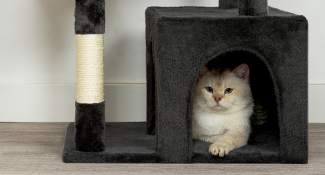 Kočičí strom pro vnitřní kočky, Velká kočičí věž, Víceúrovňový kočičí strom s velkou houpací síť, Kočičí dům s 3 Polstrované hřiště, Kočičí byt s 3 Poškrábání koček, Tmavě šedá