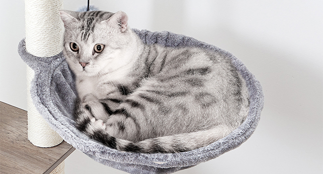 cat tree for indoor cats, 44 inches cat tower wooden, modern cat condo with cat scratching posts, multi-level cat play house with cat hammock, 2 top perches, toy balls, greige