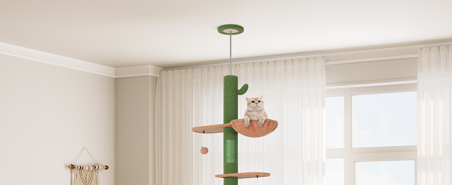 Cat Treer Floor to Ceiling