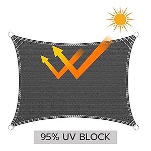 Aurinkovarjostin purje