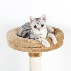 litter box enclosure with cat tree tower