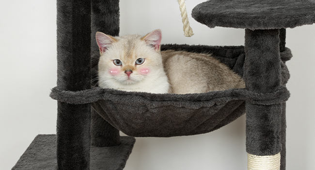Kočičí strom pro vnitřní kočky, Velká kočičí věž, Víceúrovňový kočičí strom s velkou houpací síť, Kočičí dům s 3 Polstrované hřiště, Kočičí byt s 3 Poškrábání koček, Tmavě šedá