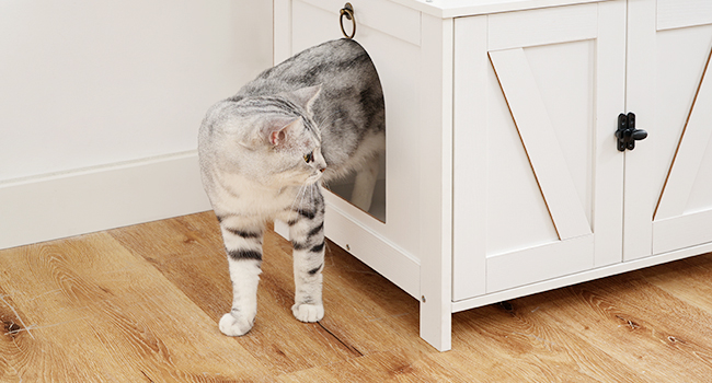 catter litter box furniture hidden