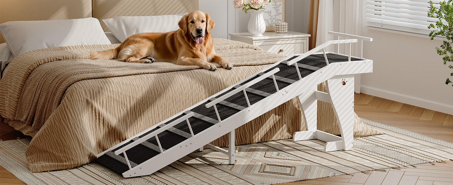 BW18PT03G1 Hunderampe