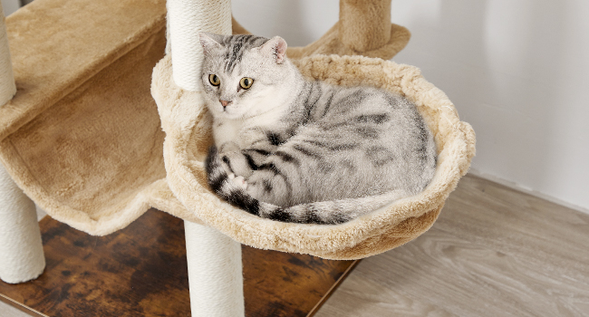 Kattetre, 58.3 Tommer kattetårn for innendørs katter, Tre katt hus med 2 Katt hengekøyer, Moderne katteleilighet med katteskrapende innlegg, Cat Teaser Sticks, Myke abbor, Rustikk brun