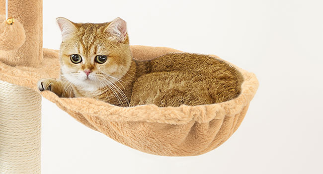 809e4ee0-8f12-4e32-824b-83f03d728d5d.__cr0,0,650,350_pt0_sx650_v1___