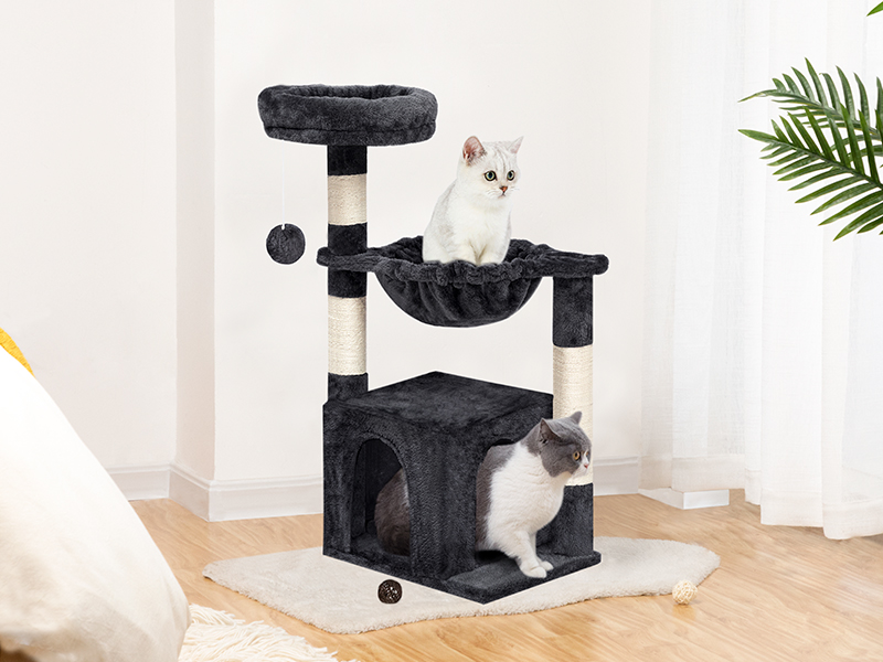 5d806a8e-be55-409c-b1a4-8e04d3e97370.__cr0,0,800,600_pt0_sx800_v1___