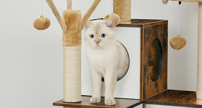 شجرة القطط مع صندوق القمامة, 2 المنصات والمنصات القط, برج القط للقط الداخلية, أثاث صندوق القمامة المخفي, 2-شقة Cat IN-1 مع الأراجيح, خدش المشاركات, بني ريفي