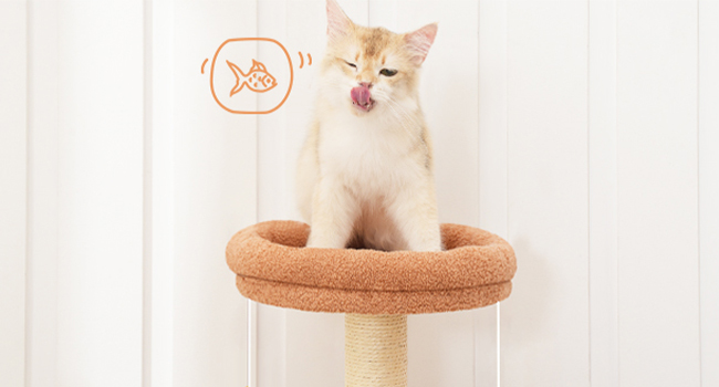 kattetræ til indendørs katte, Cactus Cat Tower til killinger under 8 lb, Lille katte træhus med katte skraber stolpe, Plush Cat Condo med visning af aborre, dinglende klokkekugler, Jorden brun