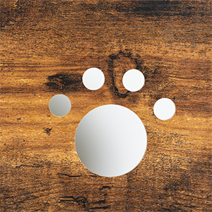 maison de chat cachée