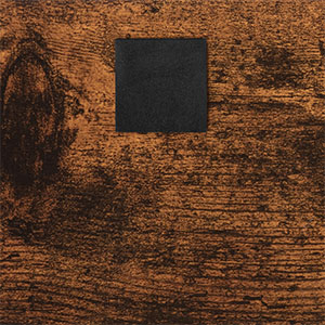 Tree Bookshelf, 5-Tier Bookcase Wooden Shelves, Floor Standing Storage Rack, for Display of CDs, Books in Living Room, Home Office, Wood Storage Rack for Bedroom, Rustic Brown