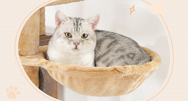 Kattetræ med kattebakke, 59.1 Høje 2-i-1 alsidige kattårnet med skjult kuldkasse møbler, Cat condo, Dinglende bolde, Skrabe indlæg, Skrabebræt, Rustik brun