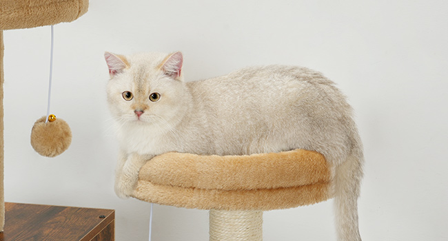 شجرة القطط مع صندوق القمامة, 2 المنصات والمنصات القط, برج القط للقط الداخلية, أثاث صندوق القمامة المخفي, 2-شقة Cat IN-1 مع الأراجيح, خدش المشاركات, بني ريفي