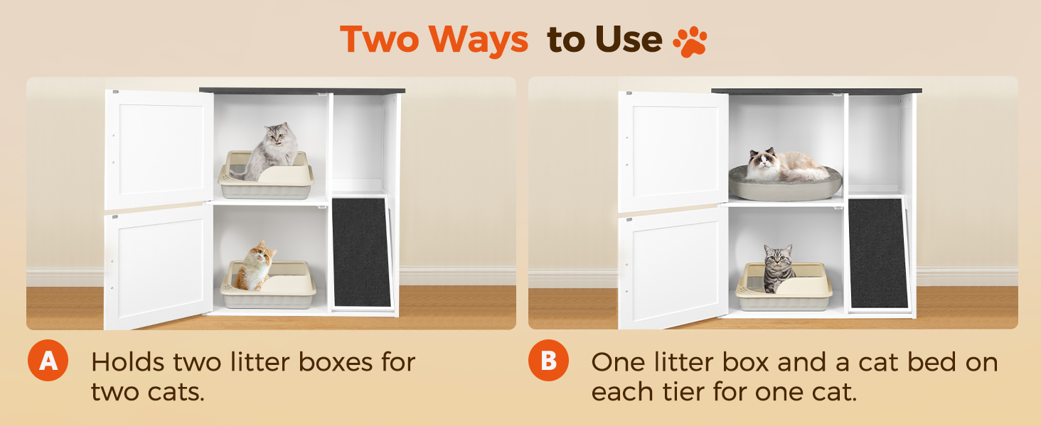 Çöp kutusu muhafazası 2 Kediler