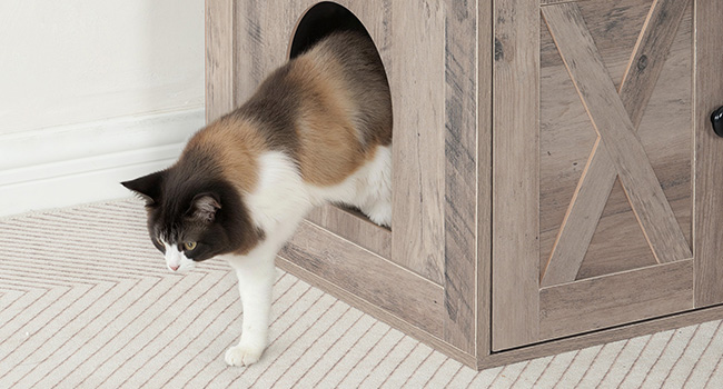 صندوق القمامة المخفي